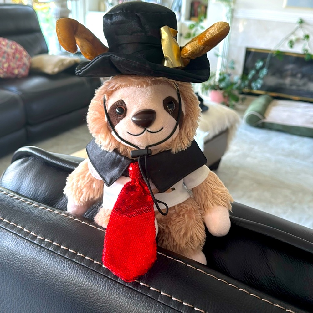 Pet pilgrim hat, and rhinestone tie with collar